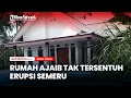 Rumah Ajaib Tak Tersentuh Erupsi Semeru Tetap Utuh dan Bersih