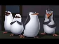 Download Lagu Pingwiny z Madagaskaru Operacja Zmień sąsiada PL Cały odcinek HD