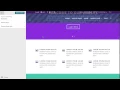 The Divi Theme and Module Customizer