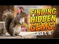 Giant Hangars and Quirky Finds Casey Illinois Road Trip