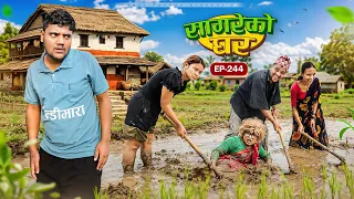 सागरेको घर"sagare ko ghar"॥episode 244॥new nepali comedy serial by sagar pandey॥22 may  2026