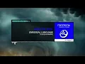 Minitronik - Universal Language