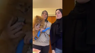 ضحك و ضحكتلو دلع انا ياما تدلعتلو يا قلبو نانسي عجرم  ضحك و ضحكتلو دلع انا ياما تدلعتلو يا قلبو نانسي عجرم