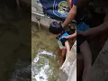Download Lagu Di obok2 kolamnya di obok2😂