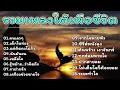 รวมเพลง Cover Acoustic เศร้าๆ เพราะๆ เสียงคมชัด ไฟล์ Lossless จากห้องอัด