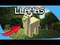 HOW TO TAME LLAMAS IN MINECRAFT