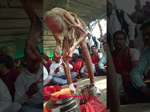 संत श्री सियाराम बाबा जी के दर्शन 🙏#shorts #viral #india #guru #baba #trending #youtubeshorts #ram