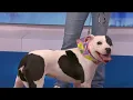 Pet Project Meet Heart