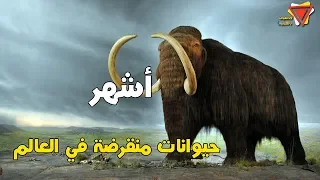                                                 دندنها
