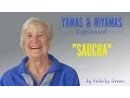 Yamas \u0026 Niyamas Explained: Saucha