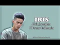Download Lagu Alvin Jonathan - Iris | X Factor Indonesia | Goo Goo Dolls | (Lirik Lagu Iris)