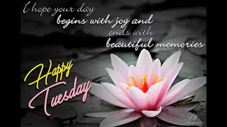 Happy Tuesday Wishes Beautiful Tuesday Greetings to Brighten Your Day