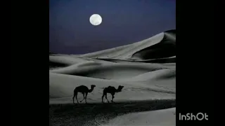 اقلي اللوم عاذل والعتابا   قصيدة لجرير   القاء أسامة النهاري    دندنها