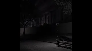 انا العاشق لعينيكي محمد حيدر بطيء 