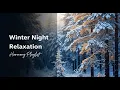 Lagu Winter Dreamscape 🌌 | Soft Relaxing Notes ❄️ 8.12