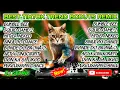 Download Lagu BEST TIKTOK TRENDING SONGS || BODUTS HANDSUP REMIX || NONSTOP MIX - DJ SOYMIX