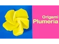 Origami Plumeria