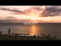 "hidden" - Hillside Recording & Diana Trout