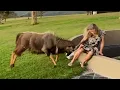 Best Fails of the Decade Hilarious s