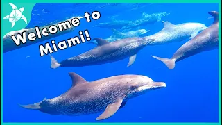 BEST WELCOME PARTY TO MIAMI!