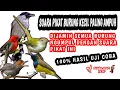 Lagu suara pikat burung kecil paling ampuh / 100% hasil uji coba dijamin semua burung ngumpul