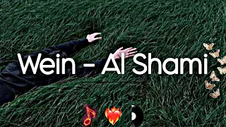                                 بدون موسيقى  دندنها