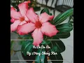 Download Lagu Ni De Da An - Yang Sheng Kun