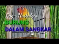 Download Lagu Lagu Nostalgia, Burung Dalam Sangkar #lagunostalgia #burungdalamsangkar