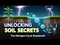 Unlocking Soil Secrets The Nitrogen Cycle Explained