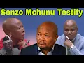 Download Lagu Minister Senzo Mchunu Testify at Parliament Ad Hoc Committee.