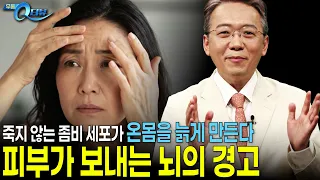 방심하는 사이 기억력이 떨어진다? 피부가 보내는 치명적인 경고 I 🔍Q터뷰 이동훈 교수 I KBS 무엇이든 물어보세요 20261026 방송