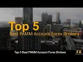 Download Lagu Best PAMM Account Forex Brokers📈