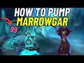How to PUMP Marrowgar Demo Warlock Wotlk Classic - ICC