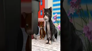 اغنية وناسة قطط 