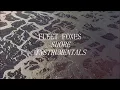 Can I Believe You - Fleet Foxes (Karaoke / Instrumental)
