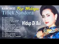 Download Lagu Album Sukses Pop Melayu Titiek Sandhora
