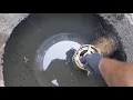 Cleaning an effluent filter