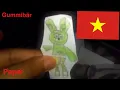 Lagu The Gummy Bear Long Vietnamese 🇻🇳 Paper Mode