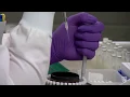 Mayo Clinic develops test to detect COVID-19