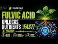 The Fastest Way to Improve Nutrient Mobility Using Fulvic Acid