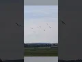 Download Lagu Ooievaars in vlucht boven het Binnenveld
