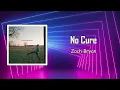 Zach Bryan - No Cure (Lyrics)