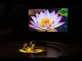 Highlights from Frontiers in Medicine 2024 AI in Bloom