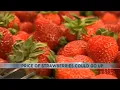 Consumer Alert Price of strawberries could go up