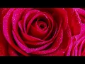 Download Lagu Relaxing Beautiful Romantic Instrumental Music \