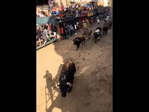 TOROS QUE NO FALTEN❤️💪🏻