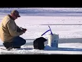Minnesota DNR could limit walleye possession What you need to know