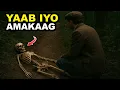Download Lagu 25 Sanno oo Baadi-Goob ah Kadib Maxaa Dhacay?