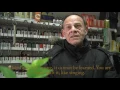 What are Botanica shops and why are they leaving Manhattan