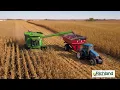 Richland IFC Blue Corn Harvest 4K